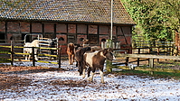 P1025891-isifohlen.JPG