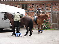 Rutenmuehle_2007__13.jpg