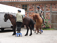 Rutenmuehle_2007__14.jpg