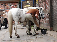 Rutenmuehle_2007__20.jpg