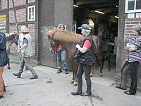 Rutenmuehle_2007__32.jpg