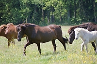 Dateiname=0046-57.jpg
Dateigröße=261KB
Abmessungen: 768x512
hinzugefügt am: 26. August 2007 0046-57.jpg