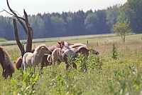 Dateiname=0046-64.jpg
Dateigröße=253KB
Abmessungen: 768x512
hinzugefügt am: 26. August 2007 0046-64.jpg