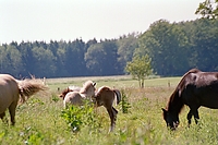 Dateiname=0046-71.jpg
Dateigröße=245KB
Abmessungen: 768x512
hinzugefügt am: 26. August 2007 0046-71.jpg