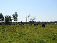 Dateiname=Bild4_035.jpg
Dateigröße=1405KB
Abmessungen: 2048x1536
hinzugefügt am: 26. August 2007 Bild4_035.jpg