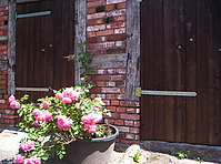 100_0301.JPG