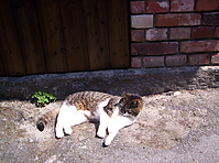 100_0302.JPG