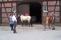 100_1294.JPG