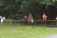 Dateiname=100_1368.JPG
Dateigröße=643KB
Abmessungen: 2560x1706
hinzugefügt am: 26. August 2007 100_1368.JPG