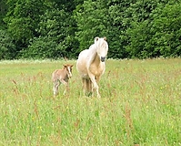 Dateiname=345753412.jpg
Dateigröße=80KB
Abmessungen: 370x297
hinzugefügt am: 26. August 2007 345753412.jpg