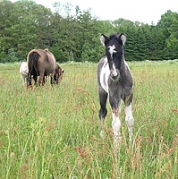 Dateiname=4534klj645634.jpg
Dateigröße=125KB
Abmessungen: 473x476
hinzugefügt am: 26. August 2007 4534klj645634.jpg