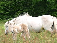 Dateiname=54jk45l32.jpg
Dateigröße=111KB
Abmessungen: 640x480
hinzugefügt am: 26. August 2007 54jk45l32.jpg