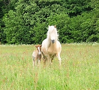 Dateiname=5676235334.jpg
Dateigröße=83KB
Abmessungen: 354x321
hinzugefügt am: 26. August 2007 5676235334.jpg