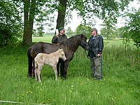 Dateiname=freydis_hengst_1.jpg
Dateigröße=144KB
Abmessungen: 640x480
hinzugefügt am: 26. August 2007 freydis_hengst_1.jpg