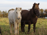PB160027.JPG