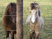 PB160035.JPG