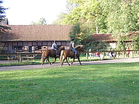 PA240056.JPG