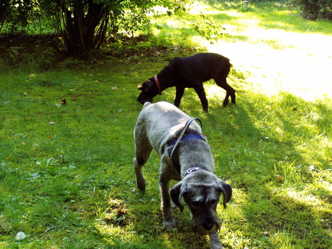 Klicken für Bild in voller Größe